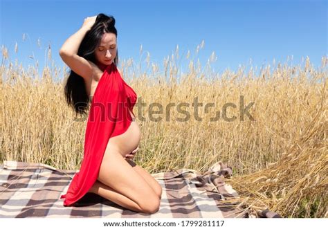 Beautiful Naked Pregnant Woman Wheat Field Stock Photo Shutterstock