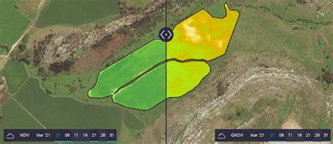 Vegetation Indices And Their Interpretation Ndvi Gndvi Msavi2 Ndre