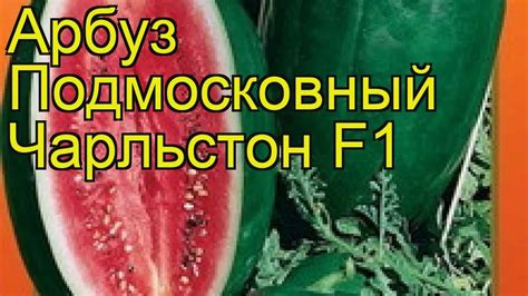 Арбуз Подмосковный Чарльстон F1. Краткий обзор, описание характеристик ...