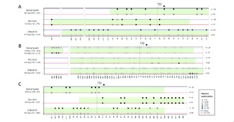 Representation Of Sex Specific Differences In The Dna Methylation Of