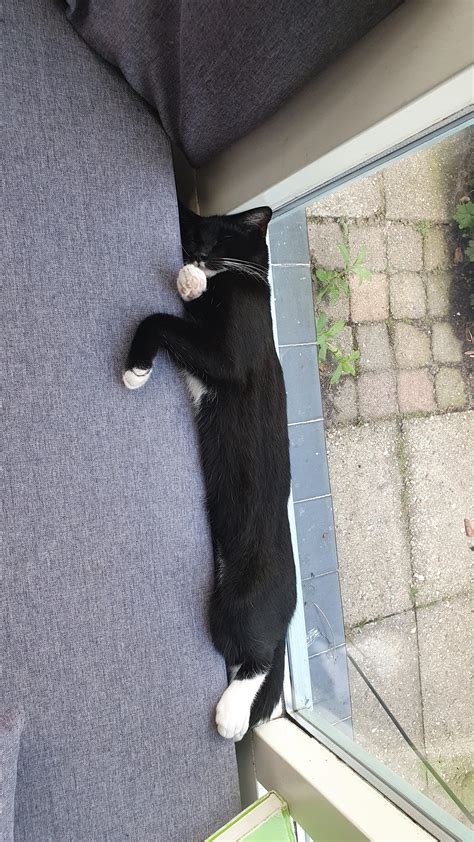 My Friends Pussy Between A Couch Scrolller