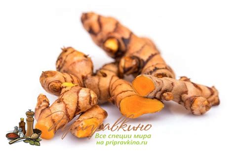 Всё о куркуме: что это и как выглядит, польза и вред, применение