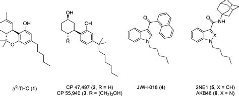 Figure 1 From Pharmacology Of Indole And Indazole Synthetic Cannabinoid Designer Drugs Ab