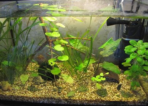 Аквариумный компрессор