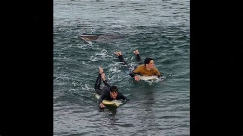 Caught on Camera: Shark bites surfer's leg in Australia - YouTube