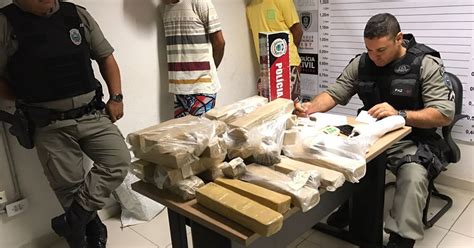 G Pol Cia Encontra Kg De Maconha Enterrados Em Quintal De Casa Na