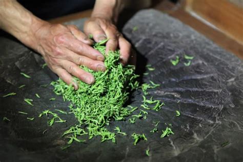 艺丨绿茶香千年：婺源绿茶制作技艺腾讯新闻