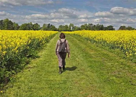 Neun Gründe warum Wandern gesund ist 50PLUS de