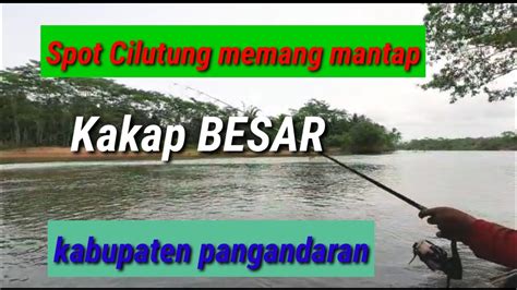 Cilutung Sawah Lega Tarikan Ikan Kakap Putih Besar Di Daerah Sungai