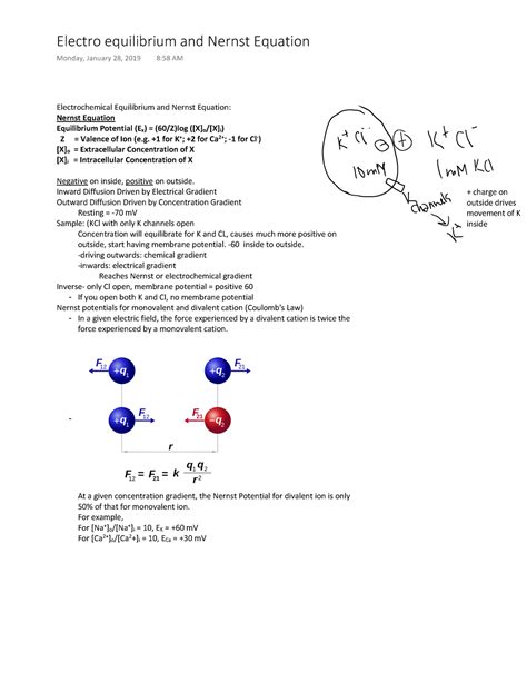 1 Electro Equilibrium And Nernst Equation Electrochemical Equilibrium And Nernst Equation