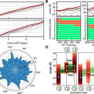 Simulations driven by a proton-motive force for the ATP synthesis mode ...