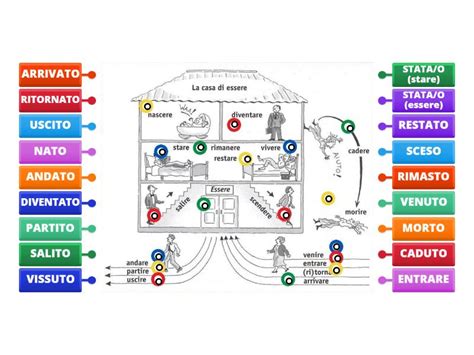 Passato Participio La Casa Di Essere Diagrama Con Etiquetas