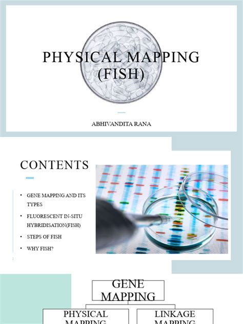 physical mapping
