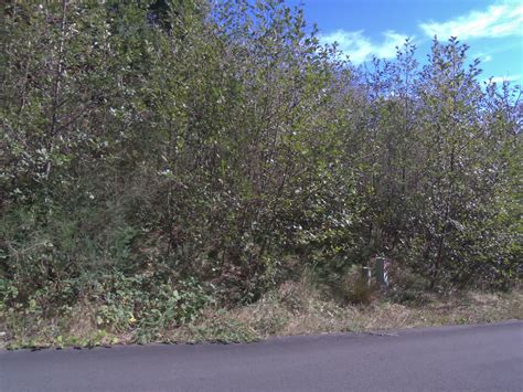 This erie county property information error saved a homeowner 13