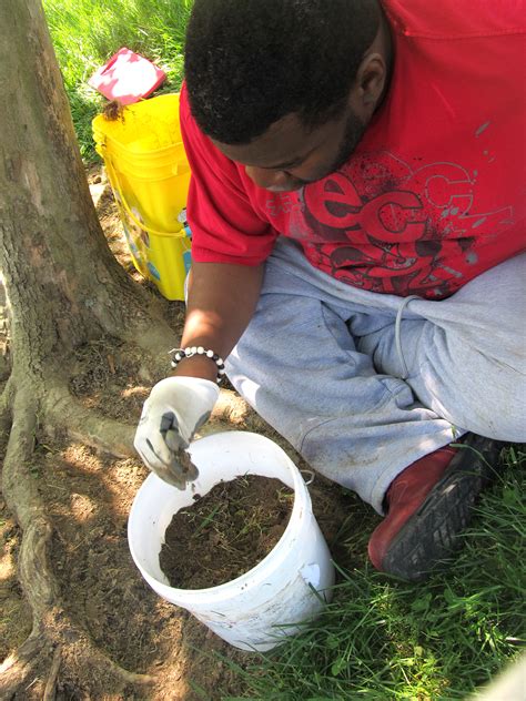 lewis ginter botanical garden 3