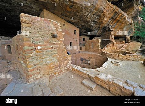 Spruce Tree House Cliff Dwellings Of Ancient Puebloan Native Americans