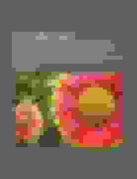 Libro Cultura Lgbt Pederastia En La Antigua Grecia Rent Icono Gay Homosexualidad En La