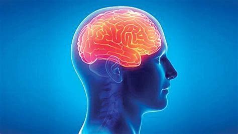 Encephalitis - Everything You Should Know | Dr. Thind