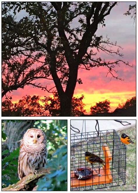Capturing The Beauty Of Nature Through A Lense Northwest Iowa