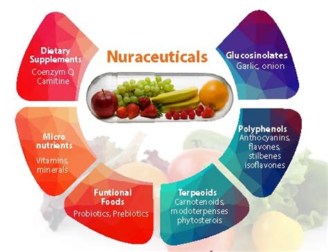 Use Of Nutraceuticals As A Medicine And Food