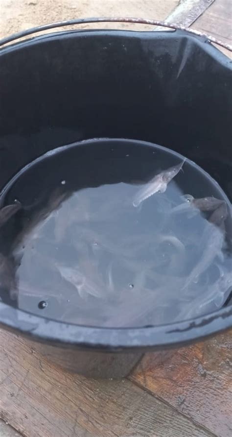 Радио Импульс FM - Кировская область | Слушайте Радио Импульс FM ...