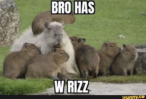 Bro Has W Rizz Bro Has W Rizz Ifunny