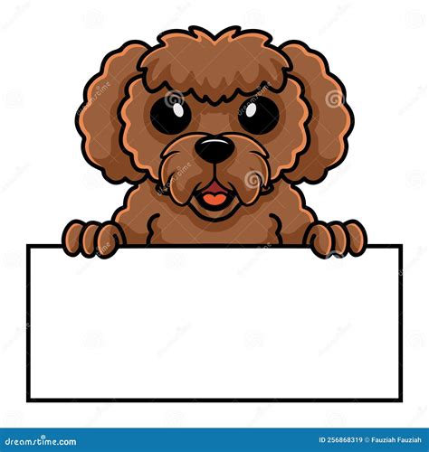 Cute Toy Poodle Dog Cartoon Holding Blank Sign Stock Vector - Illustration of baby, hound: 256868319