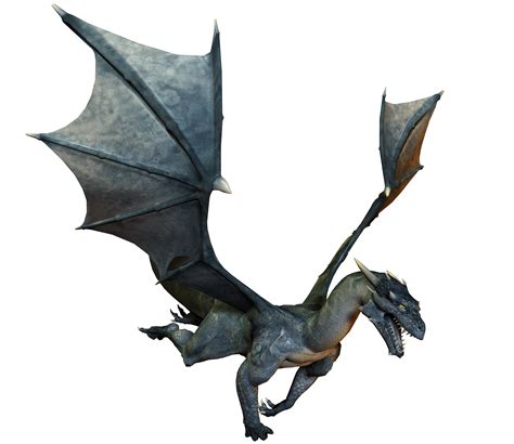 Dragon Png Transparent Image Download Size 3000x2600px