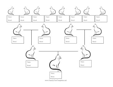 Kitten Family Tree Colorable Template