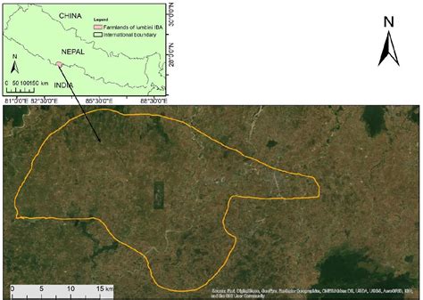 Figure From Tracking Movements Of Indian Spotted Eagles Clanga