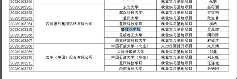 我院获批教育部第二期供需对接就业育人项目一项 攀枝花学院钒钛学院