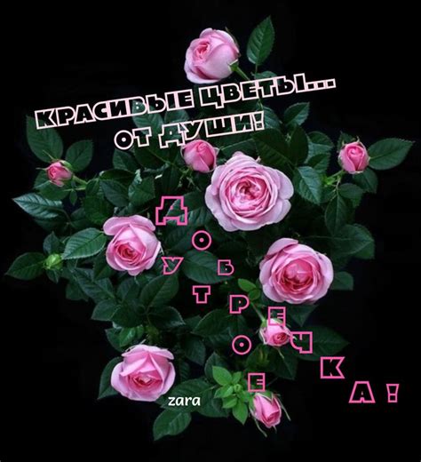 Цветы от души
