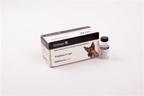Нобивак RL (Nobivac RL) купить в Украине - цена | описание, состав ...