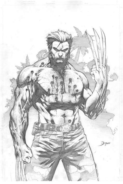 Wolverine by Diego Bernard | Wolverine art, Drawing superheroes ...