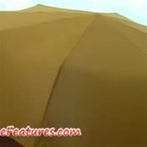 Horny Lesbians Have Fun During Backstage Photoshoot Xhamster