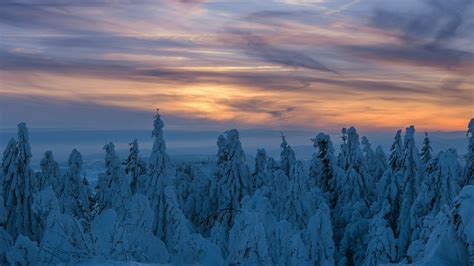 Winter Solstice 2024 When Is The Shortest Day Of The Year