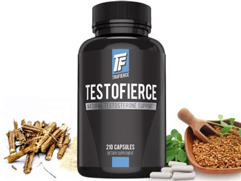 Best Bodybuilding Supplements Top 10