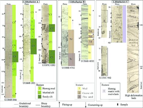 24 Core Photographs Showing The Main Sedimentary Sequences Of The