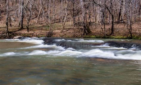 Mayo River At Mayo River State Park Stock Photo Image Of County Fork