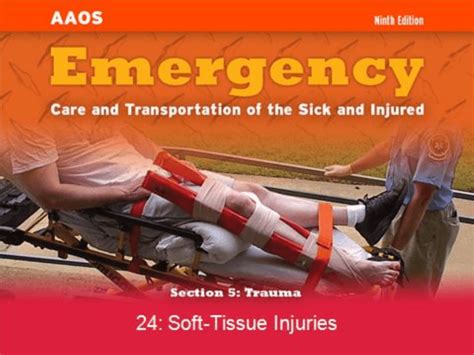 Chapter Soft Tissue Injuries Part B