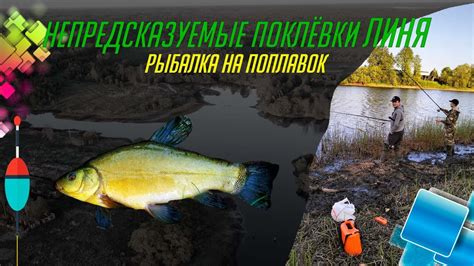 Непредсказуемые поклёвки ЛИНЯ. Рыбалка на поплавок. - YouTube