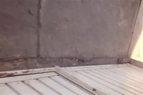 Espanol Free Porn Video Be Xhamster