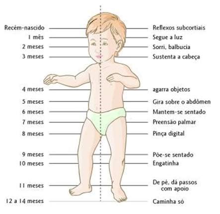 Desenvolvimento Do Bebê Prematuro Mês A Mês - Desenvolvimento motor de um bebê - DicasFree.com