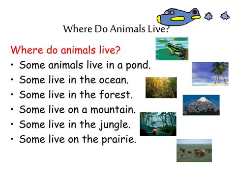 Ppt Parts Of Animals Powerpoint Presentation Free Download Id5334555