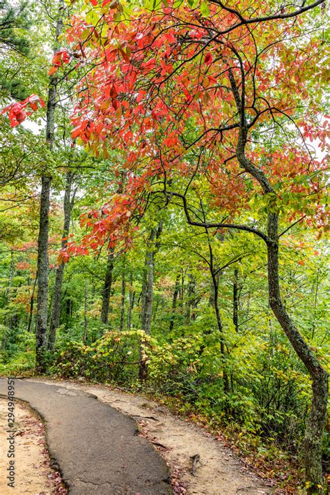 Laurel Falls Trail at the Great Smoky Mountains National Park Stock ...