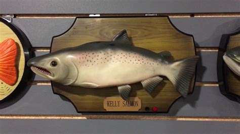 Kelly Salmon Singing Salmon Rare Youtube