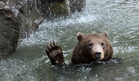 Lake Superior Zoo | Visitor Information | Duluth, MN