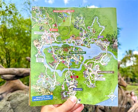 Animal Kingdom Printable Map 2022