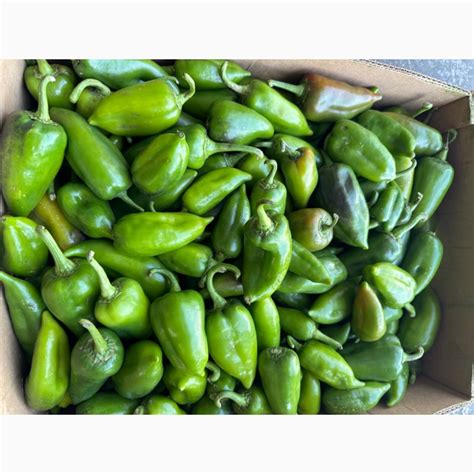 Продам перець зелений маленький Капі і геркулес, Київ — Agro-Ukraine