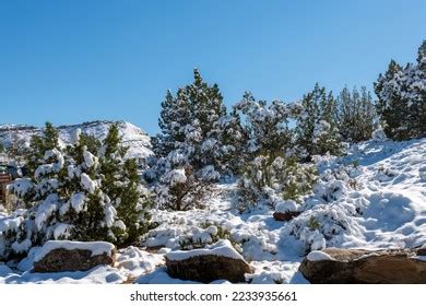 762 Colorado National Monument Winter Royalty-Free Photos and Stock ...